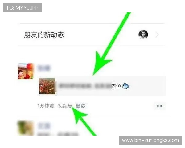 微信生成的游戏视频是否会留下访客记录及其隐私影响分析
